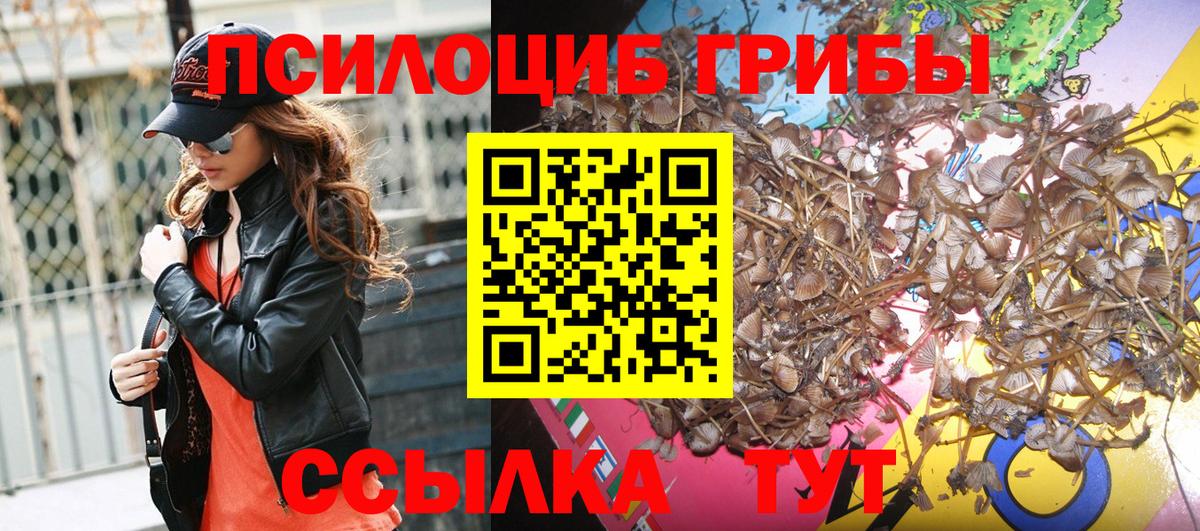 Псилоцибиновые грибы Psilocybine cubensis  Вход с VPN  Якутск 