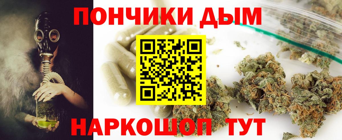 Каннабис сатива Якутск